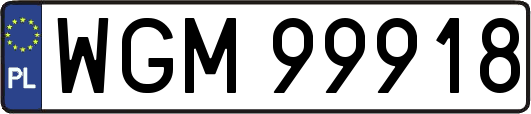 WGM99918