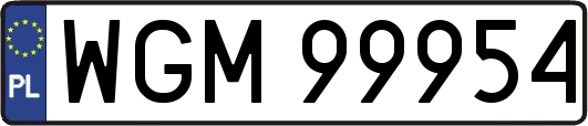 WGM99954