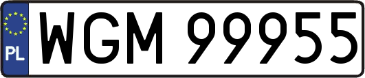 WGM99955