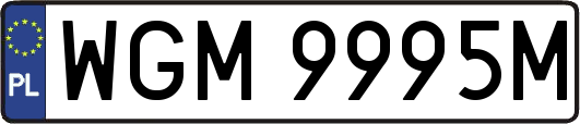 WGM9995M