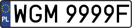 WGM9999F