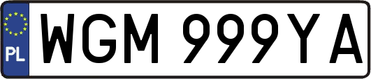 WGM999YA