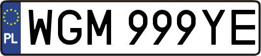 WGM999YE