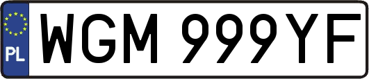 WGM999YF
