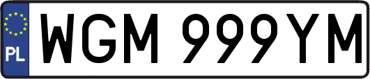 WGM999YM