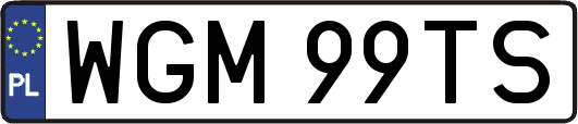 WGM99TS