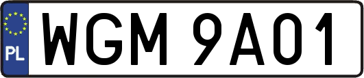 WGM9A01