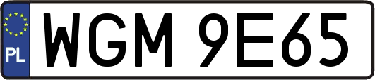 WGM9E65