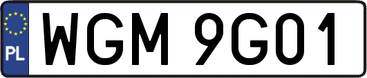 WGM9G01