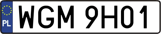 WGM9H01