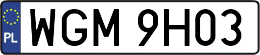 WGM9H03