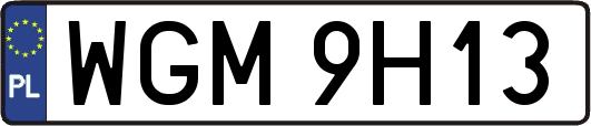 WGM9H13