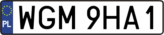 WGM9HA1
