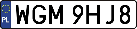 WGM9HJ8