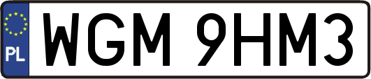 WGM9HM3