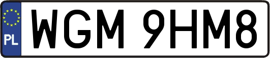 WGM9HM8