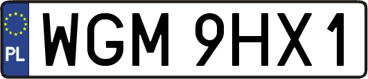 WGM9HX1