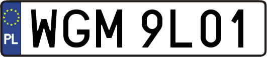 WGM9L01