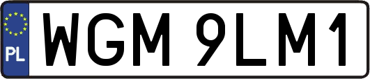 WGM9LM1