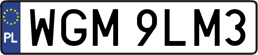 WGM9LM3