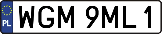 WGM9ML1