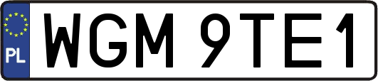 WGM9TE1