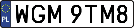 WGM9TM8