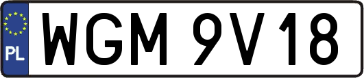WGM9V18