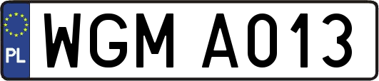 WGMA013