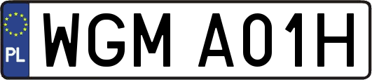 WGMA01H