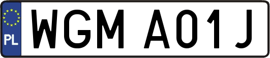 WGMA01J