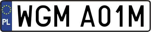 WGMA01M