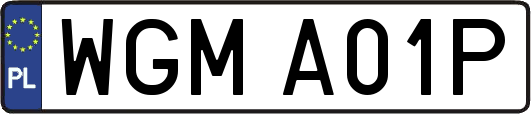 WGMA01P