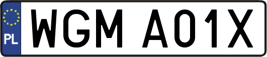 WGMA01X