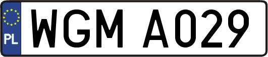 WGMA029