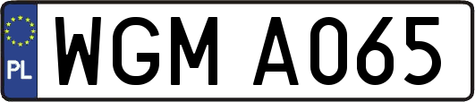 WGMA065