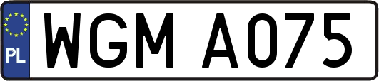 WGMA075
