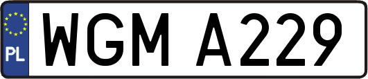 WGMA229