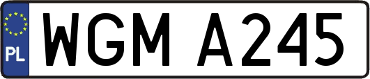 WGMA245