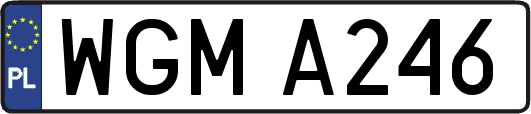 WGMA246