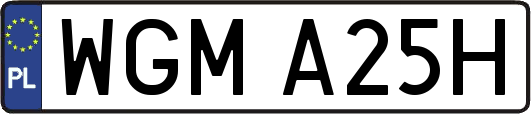 WGMA25H