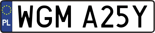 WGMA25Y