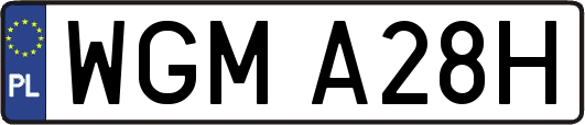 WGMA28H