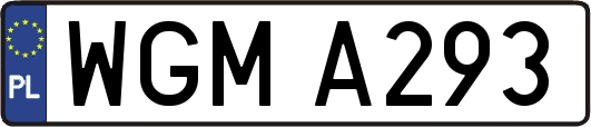 WGMA293