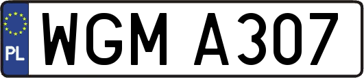 WGMA307