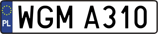 WGMA310