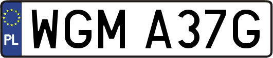 WGMA37G