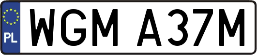WGMA37M