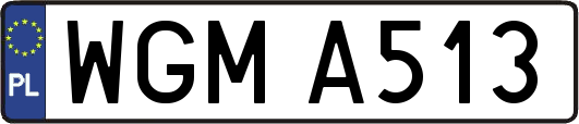 WGMA513