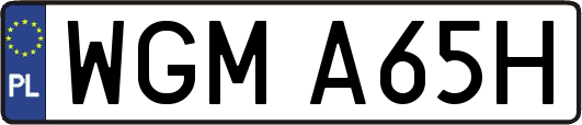 WGMA65H